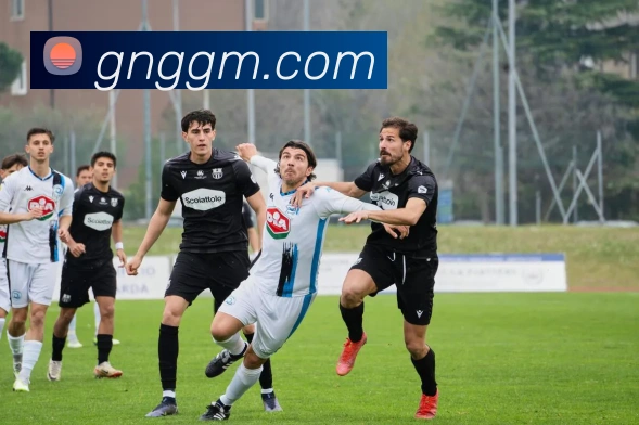 世界杯官网登录app全站App